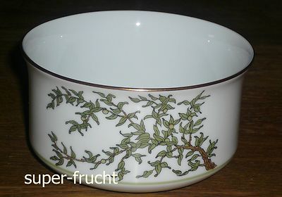 1 Dessertschüssel / Müsslischale   10 cm  Hutschenreuther  SCALA PARADISO 