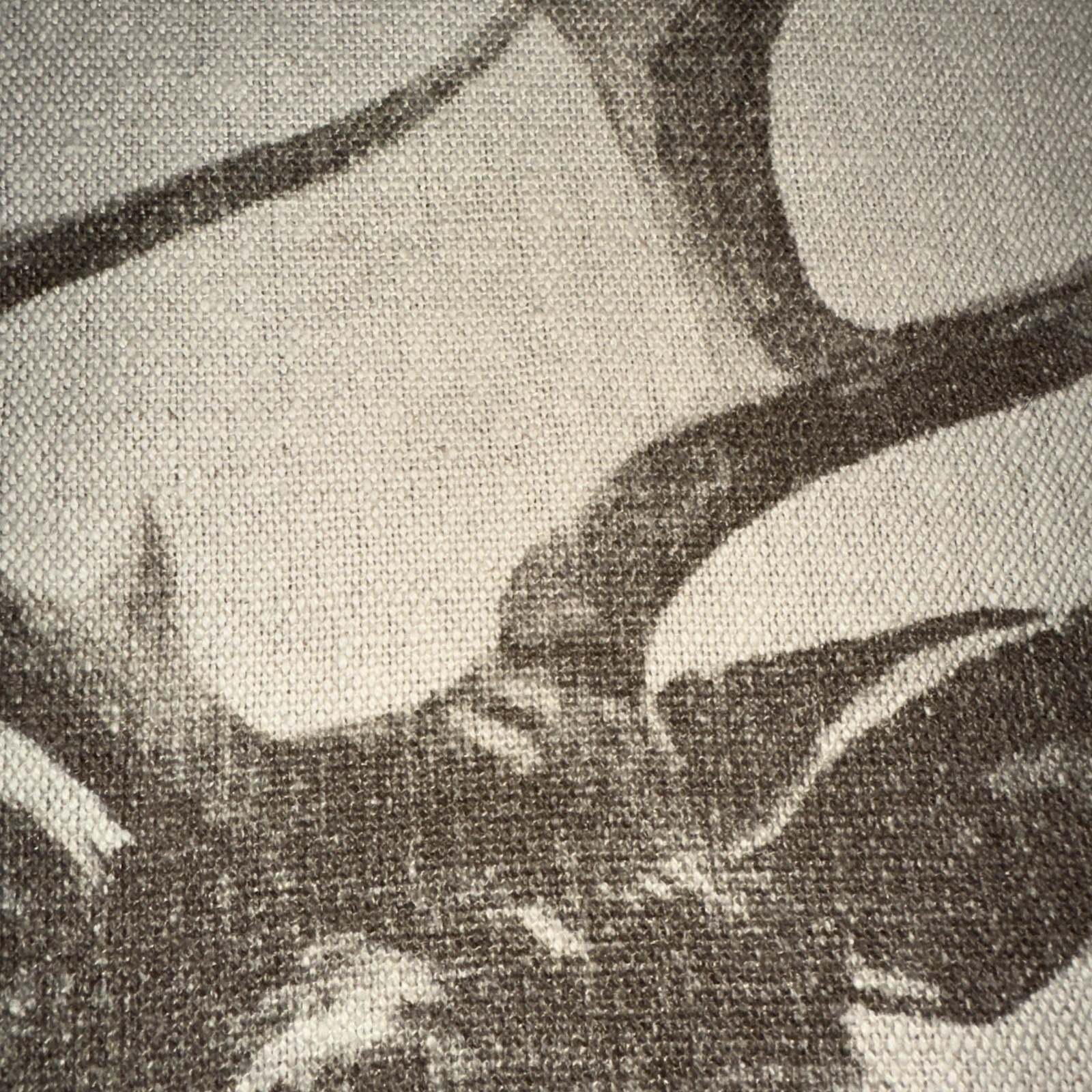 Picture 5 of 16