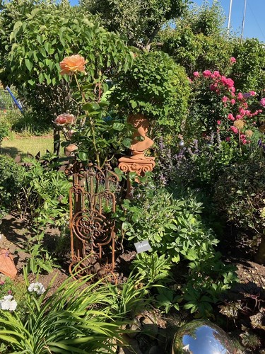 Gitter Zaun Balkon Geländer Eisen Rost Antik-Stil Rankhilfe Rankgitter Garten - Bild 10 von 10