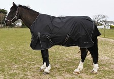 CLEARANCE Rhinegold Capri 100gsm Turnout Rug 4'6-7'3