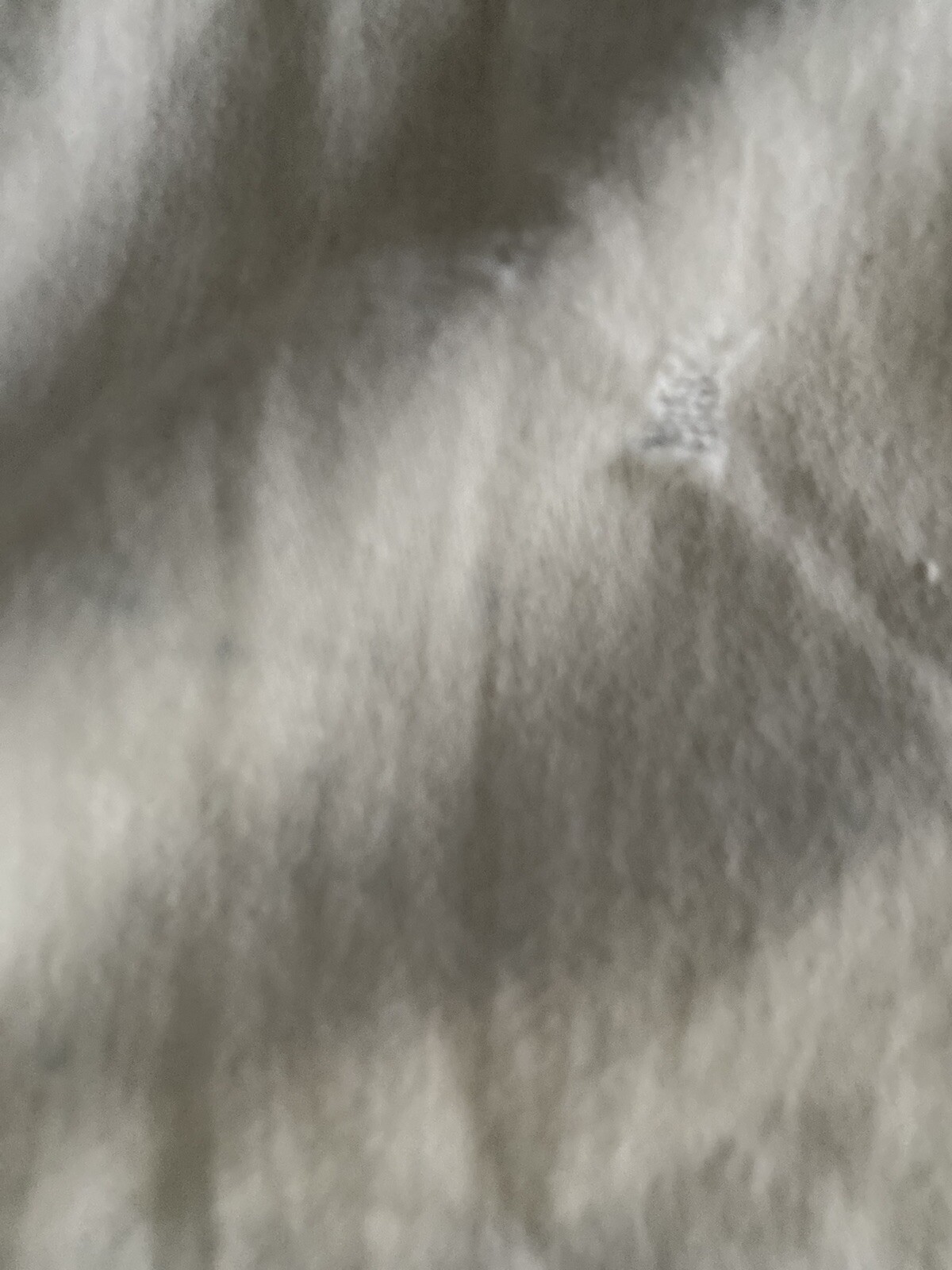Picture 5 of 6