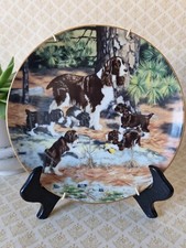 Springer Spaniels Plate The Hammilton Collection 1989 Vintage Sporting Dogs 