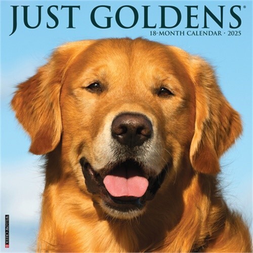 Just Goldens 2025 12 X 12 Wall Calendar (Calendar)