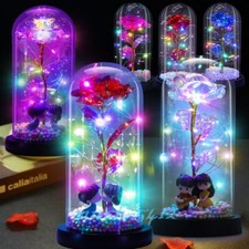 Galaxy Crystal Rose Flower Glass Dome 20 LED Lights Gift for Girlfriend Mom Wife