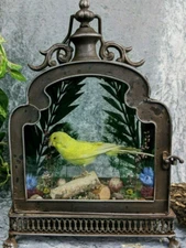 Parakeet Victorian Antique Style Taxidermy Display collectible Oddities gift