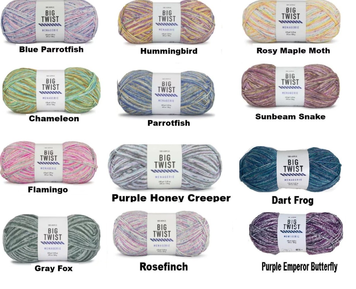 Big Twist Menagerie Yarn 410 yds 3 Wt. DK Light Worsted Acrylic