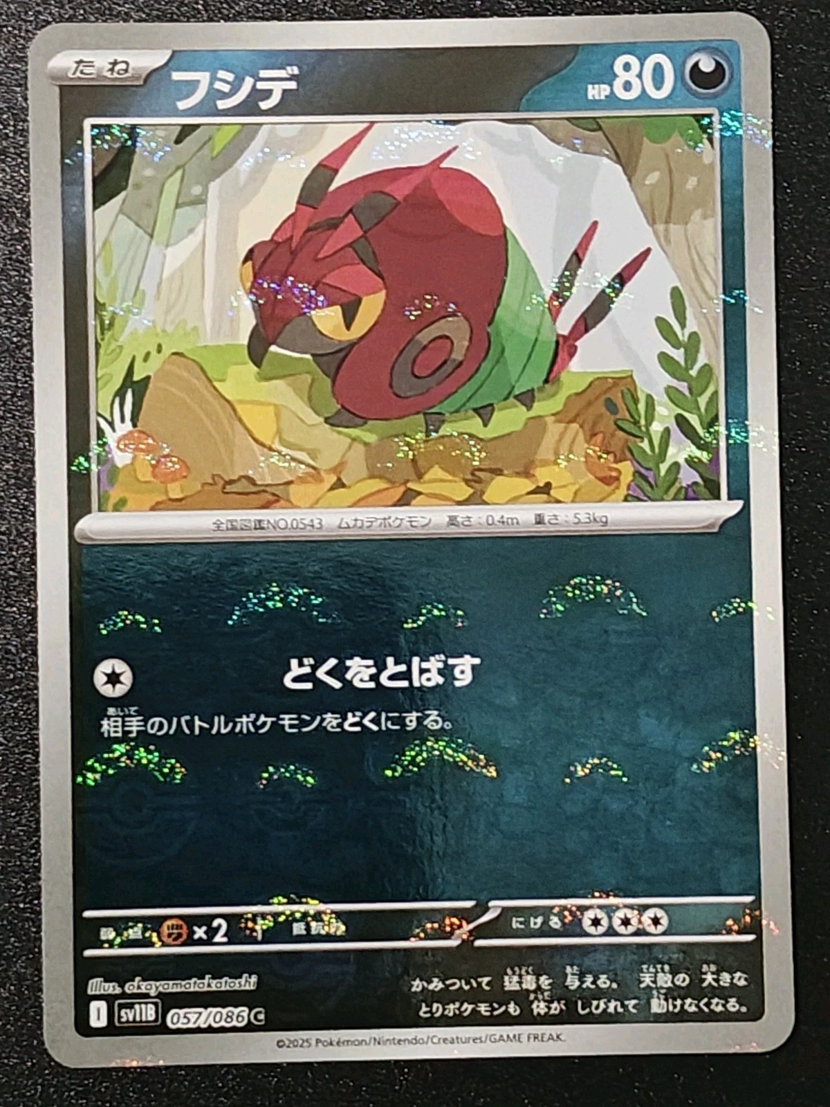 Venipede Pokeball Reverse Holo 57/86 Japanese NM Black Bolt Pokemon (US Seller)