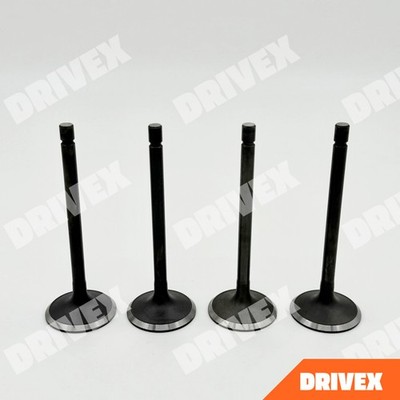 4x Engine Valve Inlet For Isuzu NPR NQR NPR-HD NPR NRR 4HE1 4.8L 1998-2004