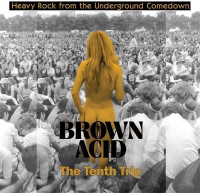 Various Artists Brown Acid: The Tenth Trip (Vinyl) 12'' Album (US IMPORT)