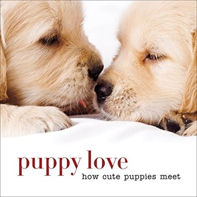 Puppy Love: How Cute Puppies Meet, Sterling Publishing 