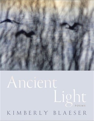 Ancient Light: Poems (Paperback or Softback)