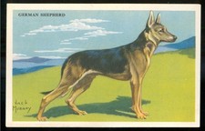 1940s German Shepherd Dog Card Kellogg’s Cereal F273-6 Card Shredded Wheat