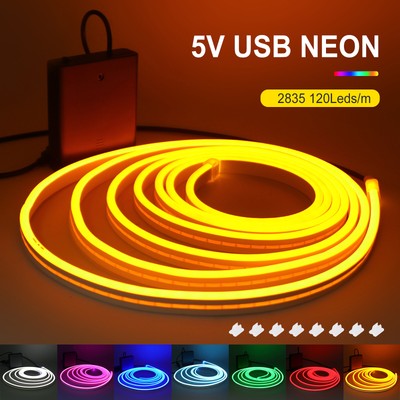 Neon LED Stripe Streifen 5V 2835 USB Batterie Schlauch Lichtband Lichterkette
