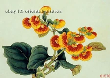 Chinese 100% real natural silk thread,su hand embroidery kits:flower 11"