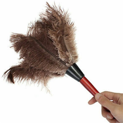Ostrich Feather Duster - ANV - Picture 9 of 9