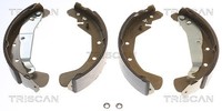 Triscan Bremsbackensatz Hinterachse U.A. FüR Chevrolet, Opel