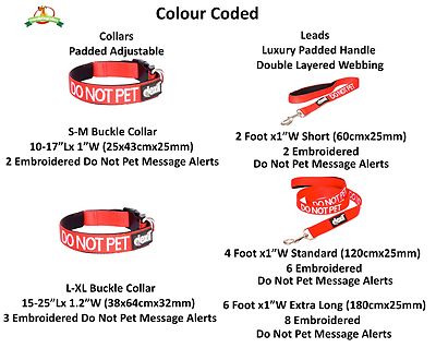 color coded dog collar color wheel