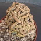 Foto 11 di 24