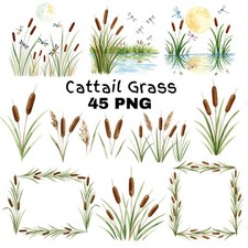 Cattail Grass Watercolor Clipart PNG Bundle Rustic Wetland Botanical Art Wild