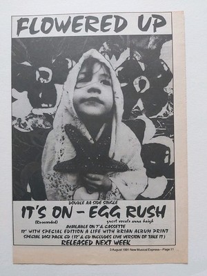 FLOWERED UP  IT'S ON / EGG RUSH ORIGINAL  ADVERT