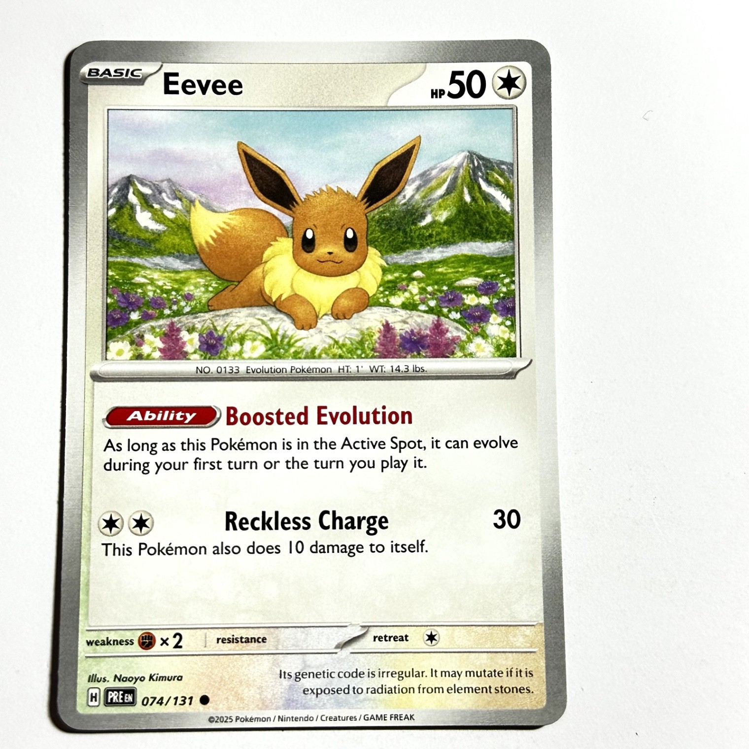 Eevee 074/131 Common Regular Card SV: Prismatic Evolutions Pokemon TCG NM