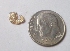 So California Gold Nugget .248 grams Rare Gold 4821.04 per troy oz