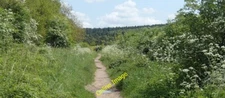 Photo 6x4 Maun Valley footpath Clipstone/SK5863 The path is set back abo c2014