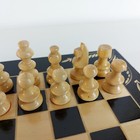 Bild 8 von 14