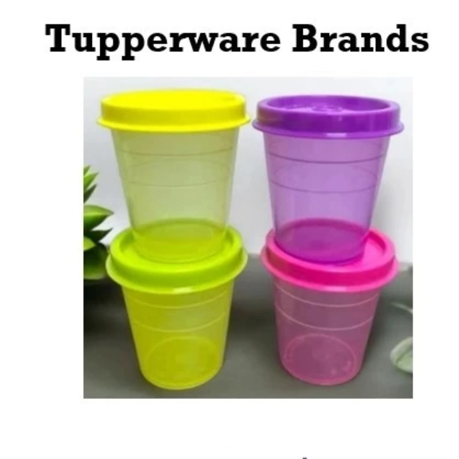 Tupperware Mini Midget Containers 60ml (4pcs) – Small Storage Set with Lids