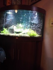 Aquarium von JUWEL mit Zubehör und LED Beleuchtung