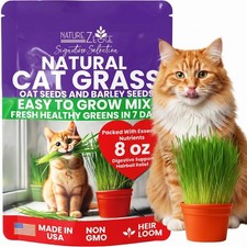Premium Cat Grass Seeds for Indoor Cats, Non GMO - 1/2 lb Oat Barley Grass ...