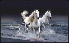 Three Horse - DIY Chart Counted Cross Stitch Patterns Needlework embroidery DMC
