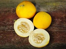 25 Mango (Vine Peach) Seeds Made in USA Ships from Iowa