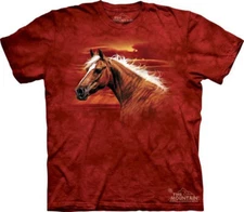 The Mountain Radiant Dream Short Sleeve Palomino Horse T-Shirt NEW (Sm - 3X)