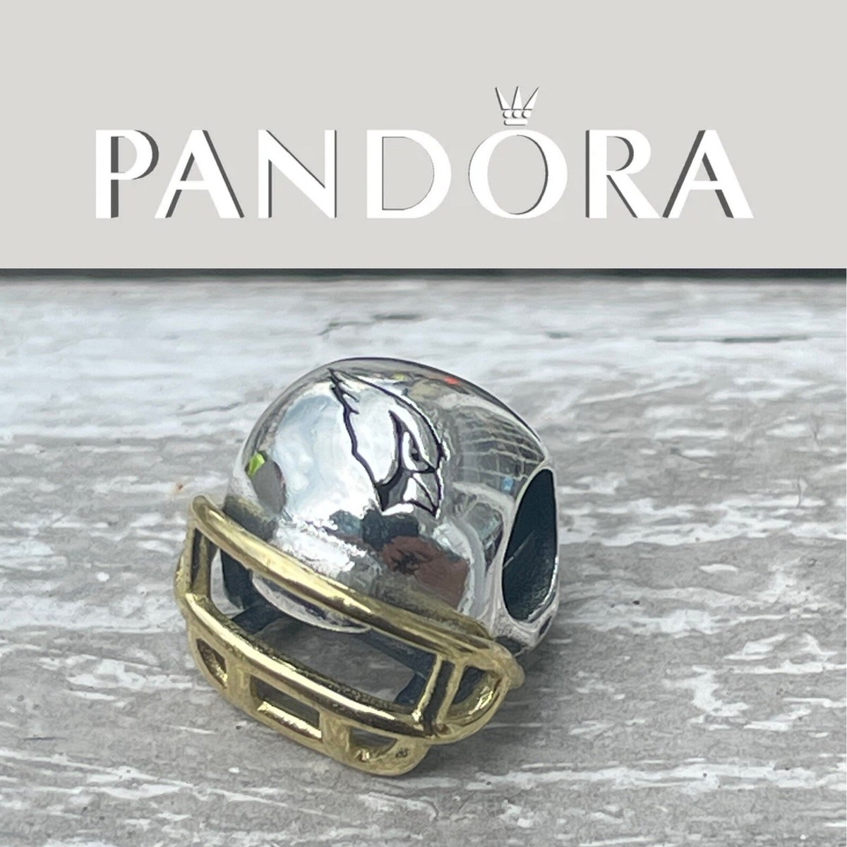 PANDORA ロゴパーカー　レア Avatar Hoodie, Pandora National Park Hoodie, Animal Kingdom