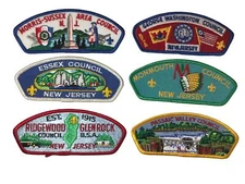 Lot of New Jersey Councils 1/2 Dozen BSA CSPs Mint CSP (BHP1952)