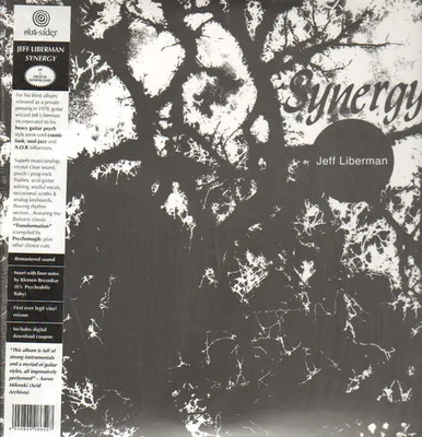 LP & MP3 Jeff Liberman Synergy INSERT / DOWNLOAD CODE NEW OVP Out-Sider Mus
