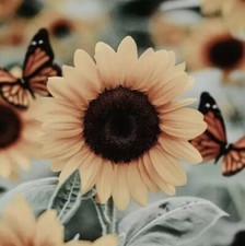 Sunflower Sticker Decal