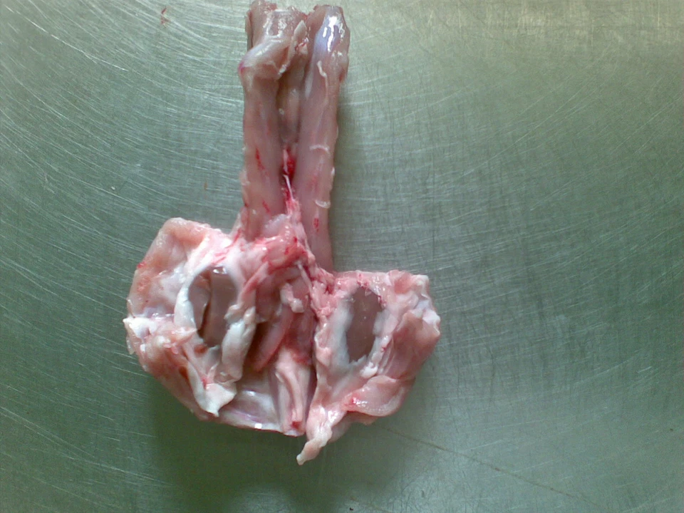 Gewolftes Kaninchen BARF Hundefutter 8 kg (16x500g) Nur 34 € TK - Bild 4 von 4