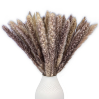 Pampasgras Getrocknet Braun – 15 Stiele Trockenblumen Boho Deko Vase Wohnzimmer