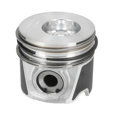 Piston & Rings Fits New Holland T5060 T6010 T6020 T6030 Fits Case Ih 87317253