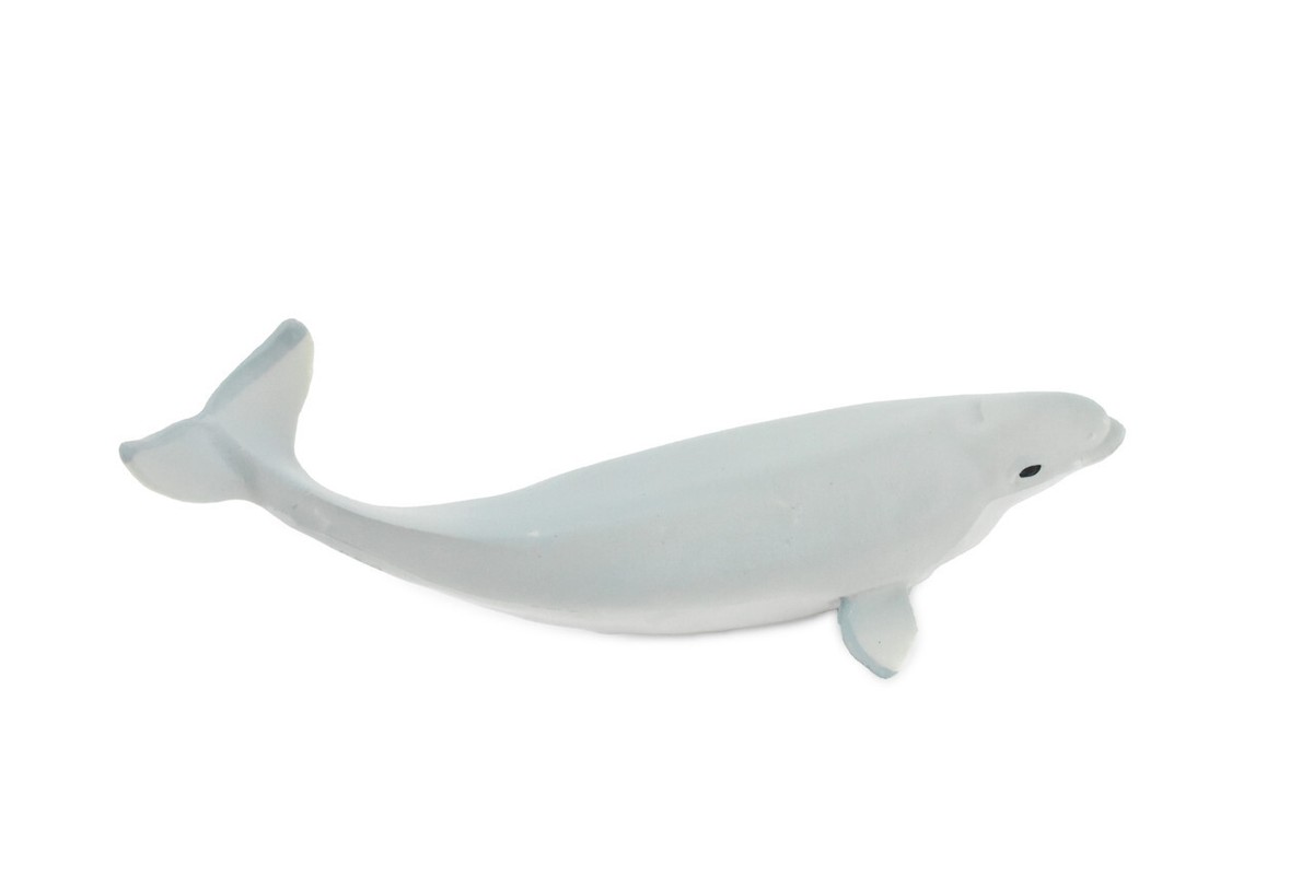 Beluga Baby White Whale Calf Realistic Toy Figurine Educational 5