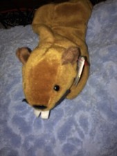 Ty Beanie Babies - BUCKY the Beaver 4016 PVC Pellets w/ Tag Protector Rare