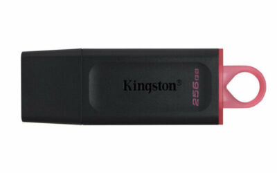 Kingston DataTraveler Exodia 256 GB USB-3.2-Speicherstick Flash Drive