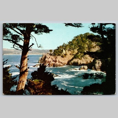 Postcard Point Lobos Reserve State Park Carmel California Scenic View