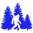 Foto 5 di 6