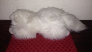 Plush Long Haired White Kitty Cat With Light Blue Eyes Ebay