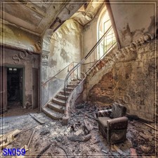 Indoor 10'x10' Computer-painted CP Scenic Photo Background Backdrop SN059B881