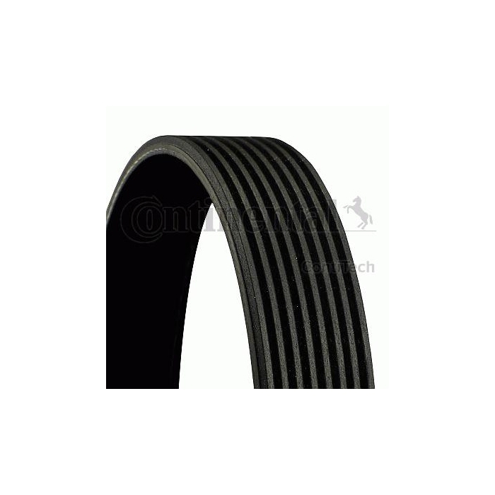 CONTITECH 8 PK 2438 V-Ribbed Belts 8PK2440 | eBay
