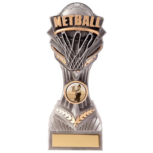 Netball Award Falcon Hoop & Ball Silver Team Trophy - FREE Engraving PA20223 - Picture 5 of 18